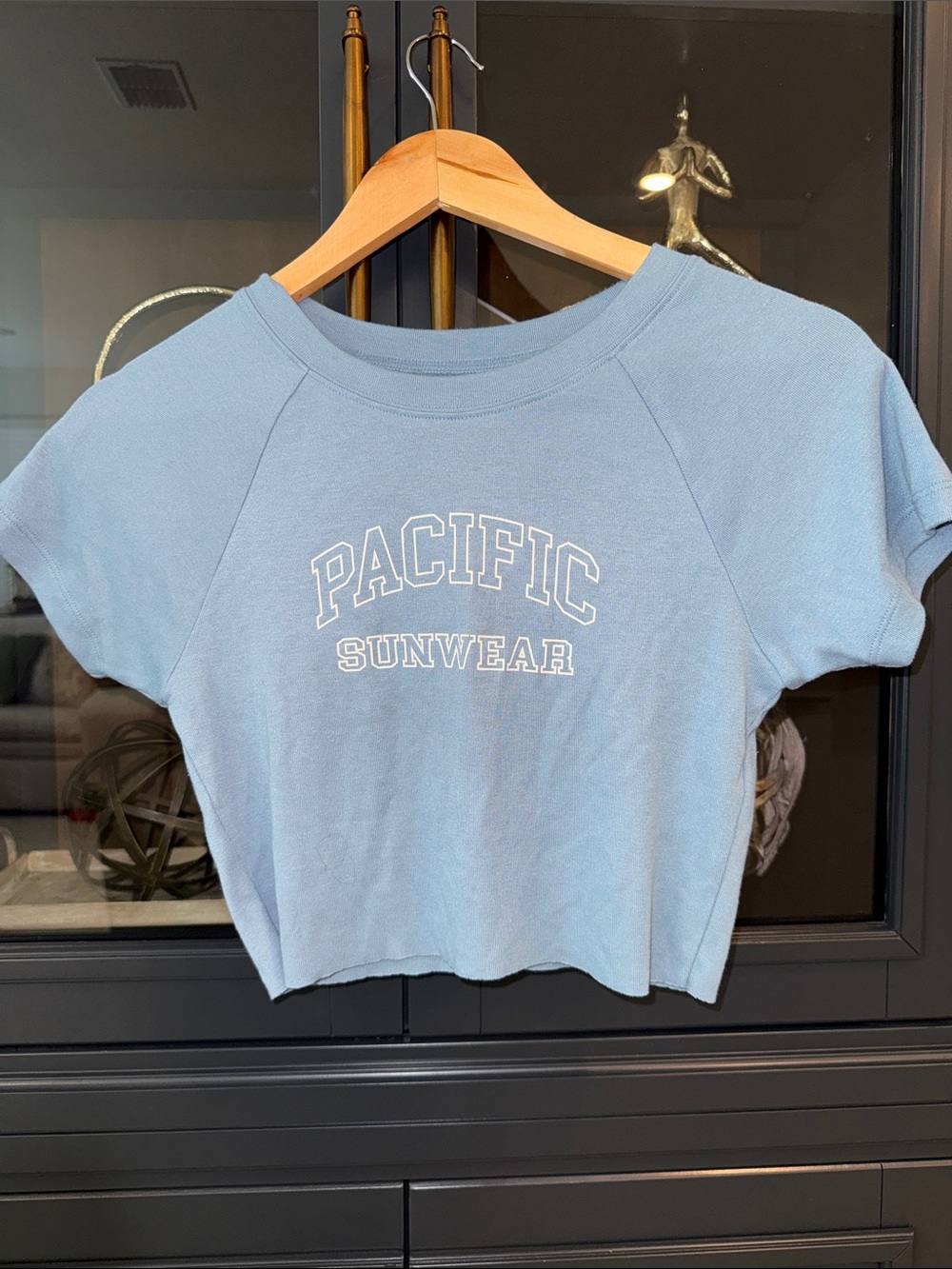 PacSun Powder Blue Cropped Tee with White Logo